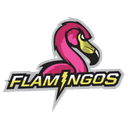 Flamingos