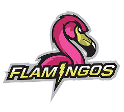 Flamingos