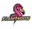 Chandler4911 logo